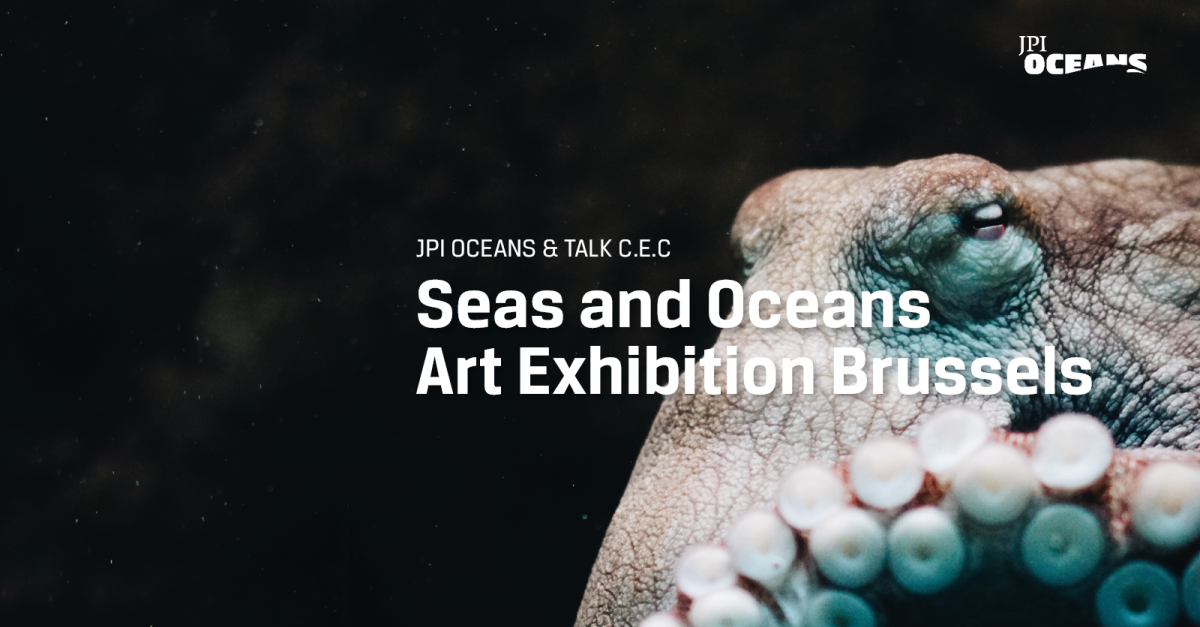 Seas & Oceans Art Gallery Exhibition JPI Oceans